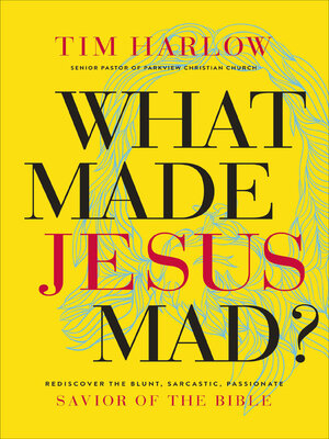 cover image of What Made Jesus Mad?